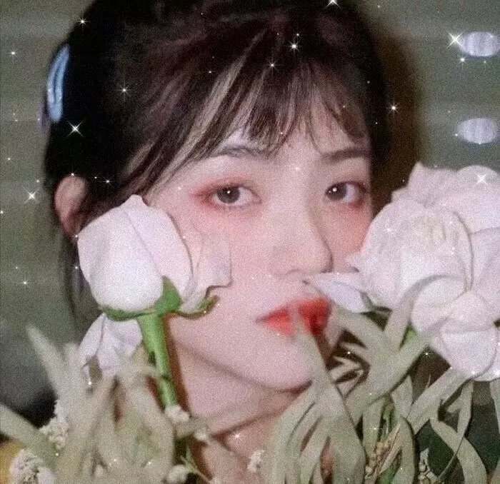 今夜星光灿烂1988
